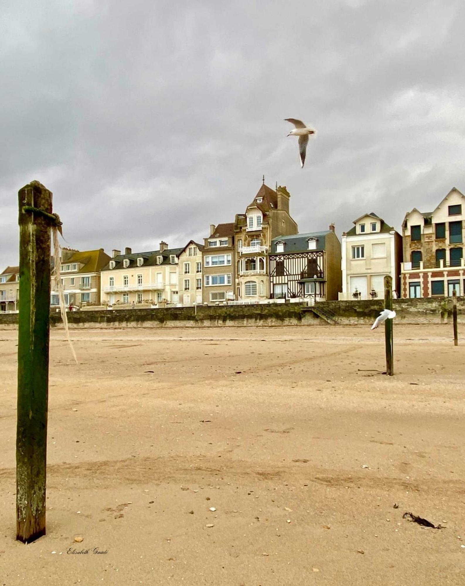 Saint-aubin-sur-mer: Bel Traversant *